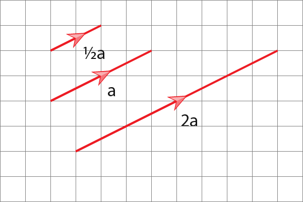 Vectors-11