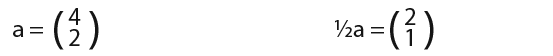 Vectors-12