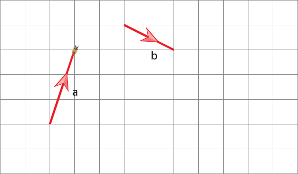 Vectors-17