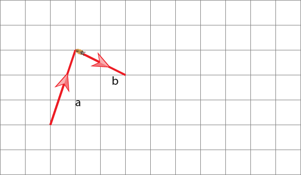 Vectors-19