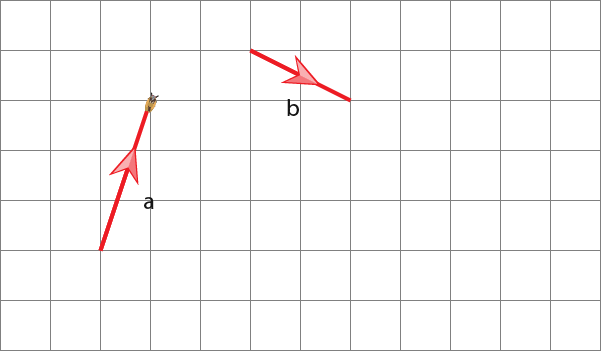 Vectors-25