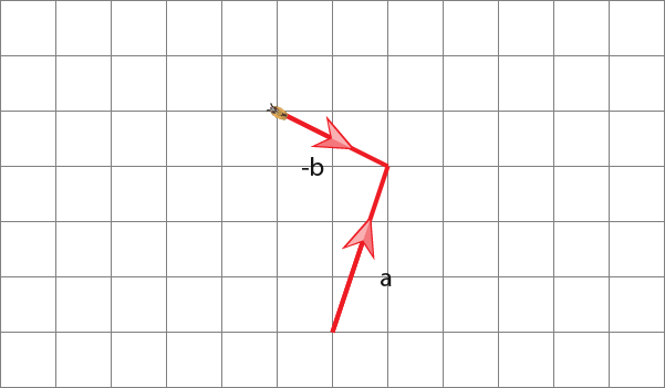Vectors-26