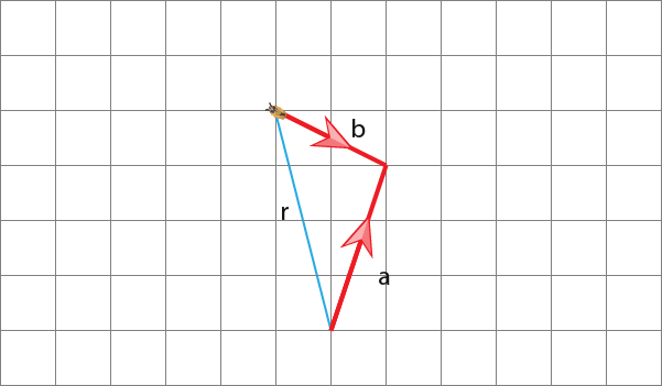 Vectors-27